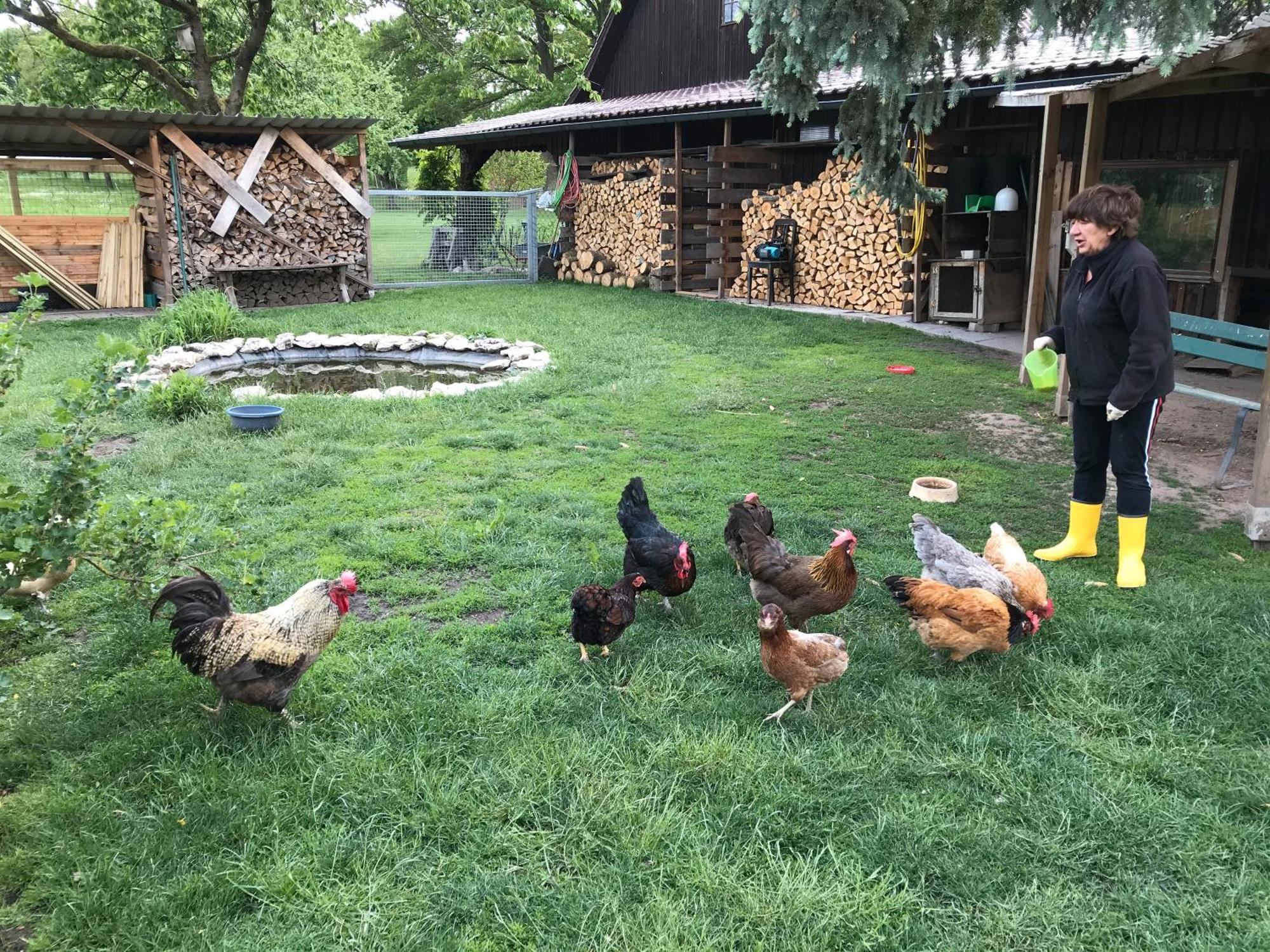 Ferienwohnung Landlust Neudrossenfeld Εξωτερικό φωτογραφία